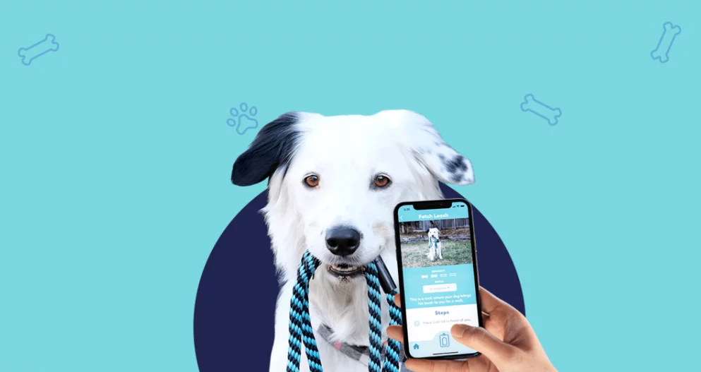 7 TOP Puppy Training Apps For iOS and Android